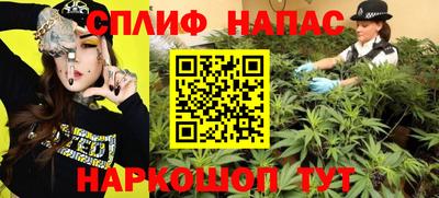 винт Славгород