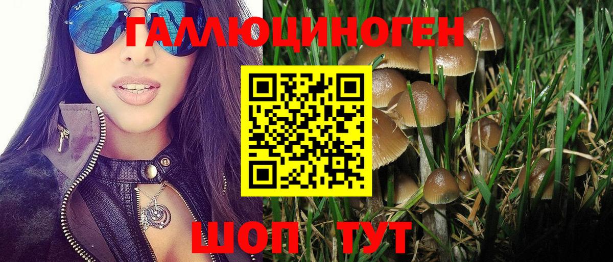 Псилоцибиновые грибы мицелий  Вход с VPN  наркотики  Павлово 