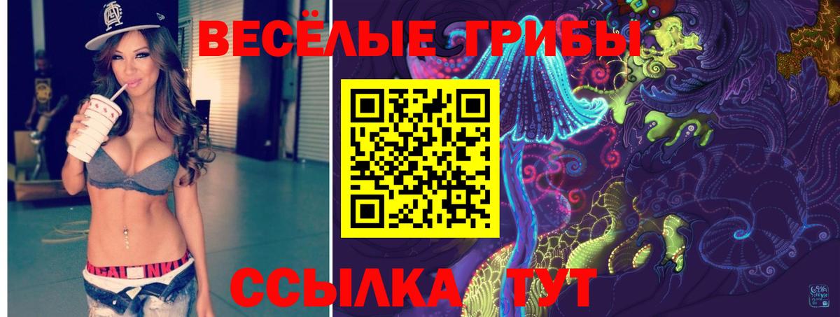 Галлюциногенные грибы Cubensis Павлово